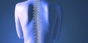 chiropractor2